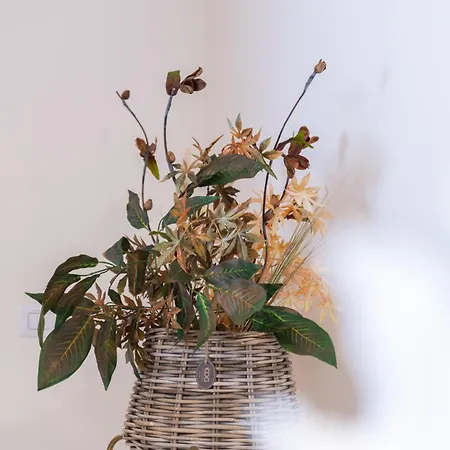 شقة Gioberti 20 ألغيرو