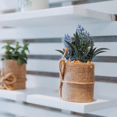 Gioberti 20 * 알게로